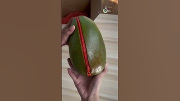 quả xoài kỳ lạ