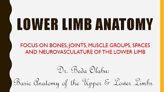 Download lagu ANATOMY OF THE LIMBS PART 1 - OVERVIEW OF LOWER LIMB ANATOMY