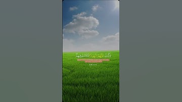 ارح قلبك وروحك وسمعك بآيات من الذكر الحكيم #اكسبلور#قرأن كريم #راحة_نفسية