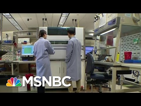 Why Were There Delays In Coronavirus Testing Kits? | MTP Daily | MSNBC