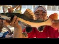 CHARLLES PESCA PIRARARA NA CHÁCARA | COMÉDIA SELVAGEM