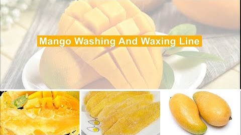 Industrial Mango Fruits Washing Waxing Grading Machine