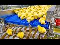 The Secret Life of Eggs: Inside a High-Speed, Automated Egg Processing Plant | Mega Factory