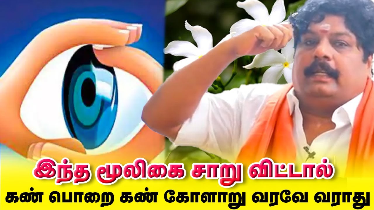 இந்த மூலிகை சாறு விட்டால் கண் பொறை கண் கோளாறே எதிர்காலத்தில் வரவே வராது | Yogam | யோகம்