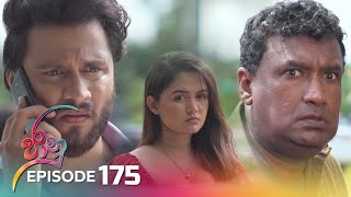 Jaanu | Episode 175 - (2023-10-25) | ITN