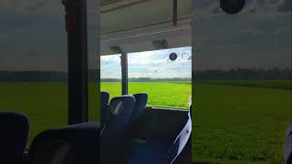 Return back from the office..... Alone.. empty bus... Feels Green everything #summersplit
