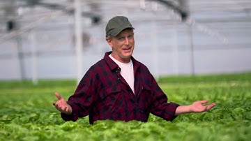 Galcon GSI Pro & Sentek 2min video