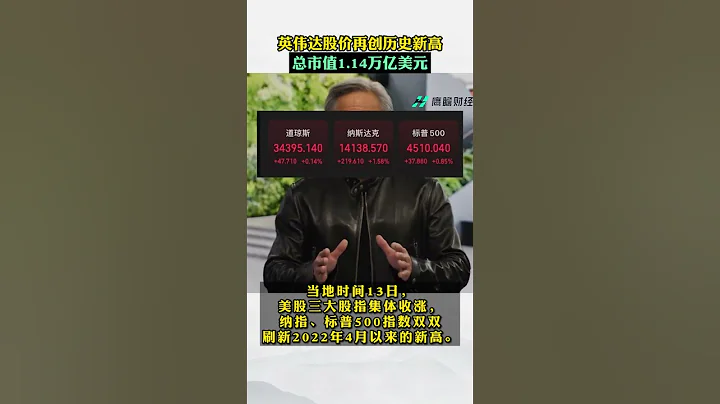 英伟达股价再创历史新高   总市值1.14万亿美元 - 天天要闻
