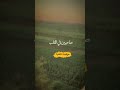 إوعي تصدقها الدنيا