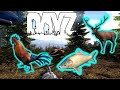 I'm ONLY Hunting in DayZ - Is It A Terrible Idea?