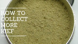 How to Collect More Kief from Grinder