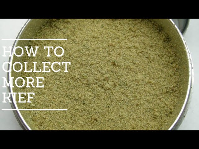 How to Collect More Kief from Grinder class=