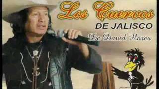 Video thumbnail of "Los Cuervos De Jalisco, Rodó mi Corazón"