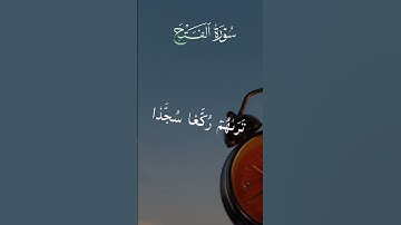 #القران_الكريم  ما تيسر من سورة الفتح