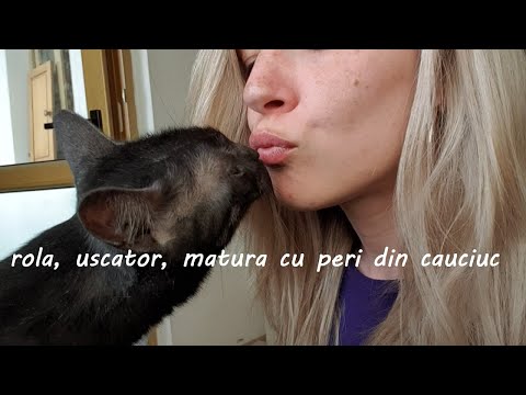 Cum gestionam parul de animale? Cu rabdare si un uscator de rufe.