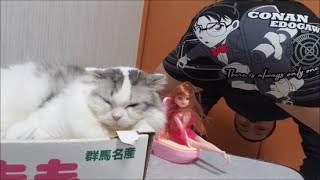 江戸川コナン