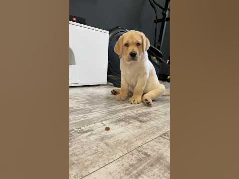 Умный малыш ☺️ - YouTube