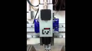 IMG 08291   Cellular