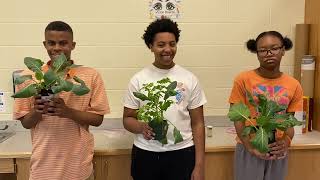 Learning Disabilities Awareness Month