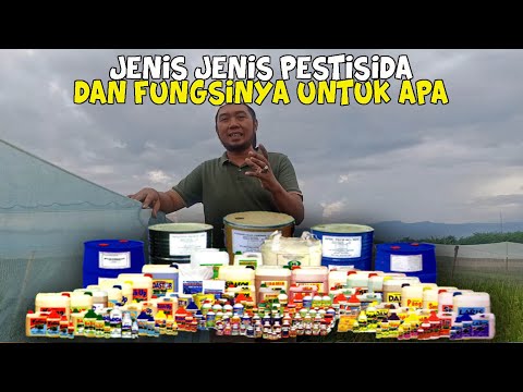 Video: Apa Itu Pestisida. Jenis Dan Kegunaan Pestisida