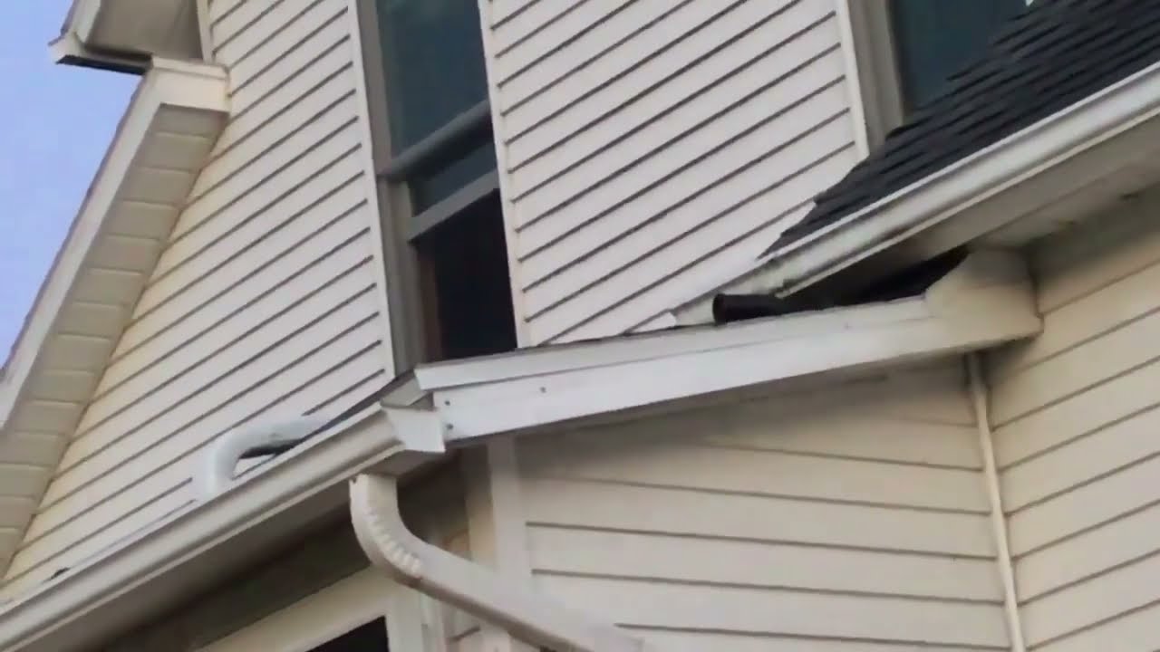 Bat Eviction Mt. Gilead, OH