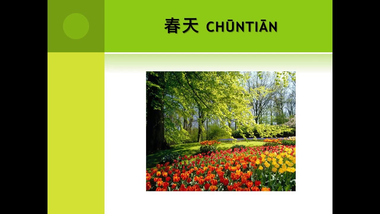 Flower garden with willow tree. Chuntian and Chinese figures for Spring.