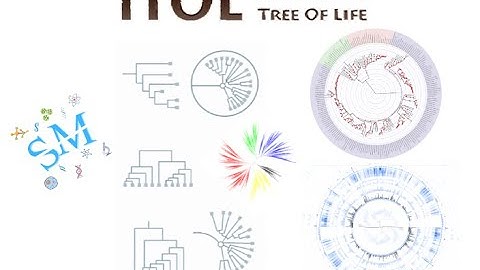 Lecture 21 | iTOL | Phylogenetic Tree Visualization and Annotation Tutorial | @SciChatMindset