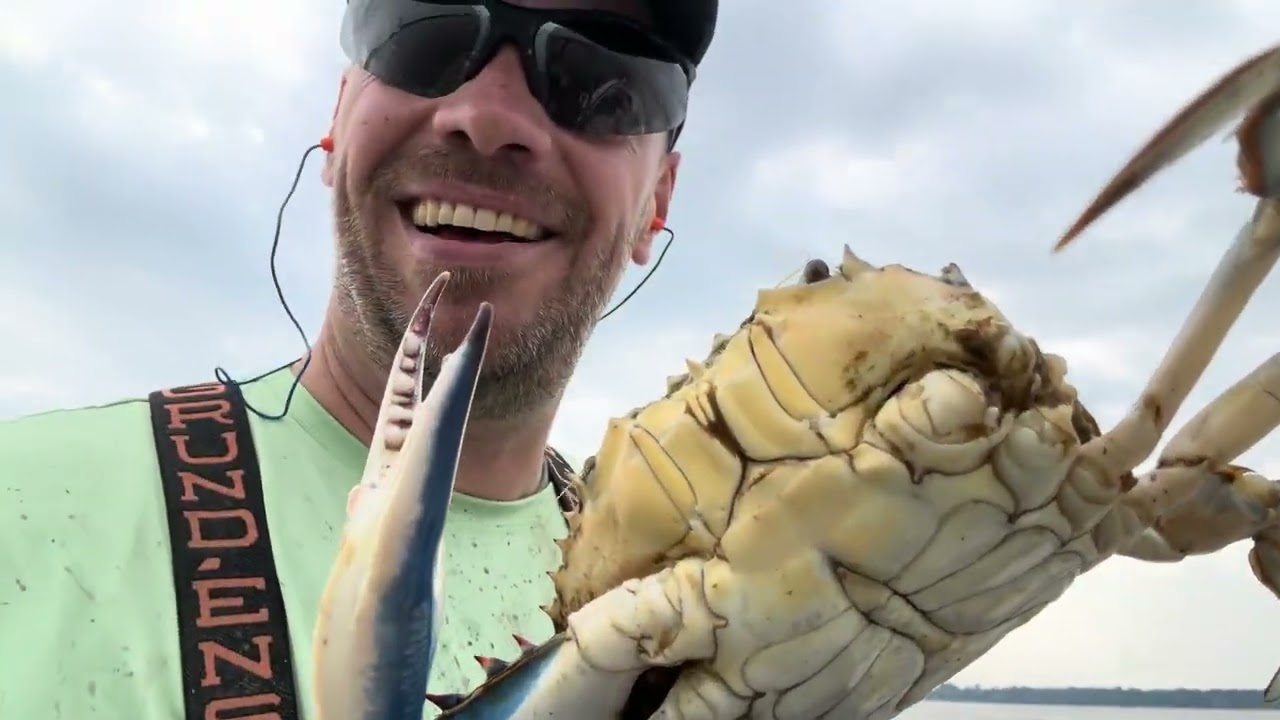 Commercial Blue Crab Catch and Revenue Calculation