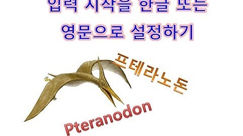 Excel 입력 시작을 한글 또는 영문으로 설정