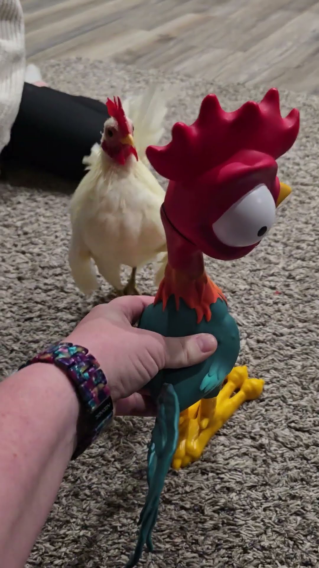 Rooster Confused By Toy Rooster || ViralHog