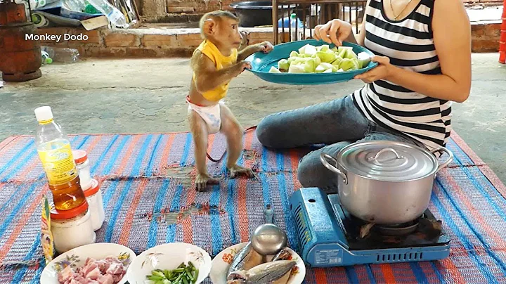 Super Cute, Dodo Help Mom Cooking Chayote With Pork Rib Soup Recipe