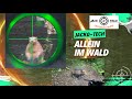 Jacko-Tech allein im Wald - eine Tour durch den 3D Bogen Parcours