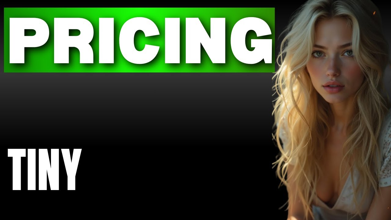 Tiny Big Bag Reviews Pricing Explained  What You Get for Your Money