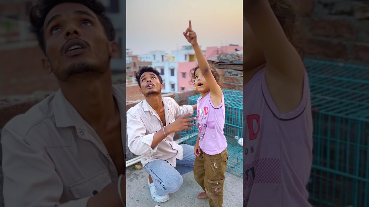 Kabutar Or Baj Ki Ladai 😭 #pigeons #reels #kabootarba #shorts #youtubeshorts #baj #viral #vlog