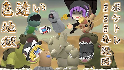 ダイパリメイク色違い大量 ダイパリメイク色違い大量
