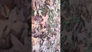 Realcraft: Outside Edition ￼￼ screenshot 2