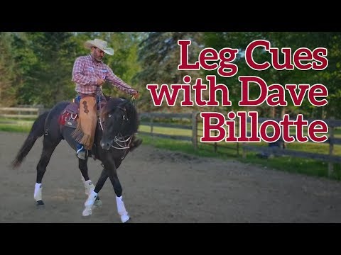 Three Leg Cues for a Successful Ride