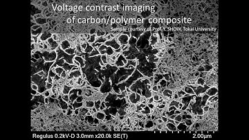 [Materials] Voltage contrast imaging of carbon polymer composite