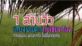 เสียงฝนตก กบเขียดร้องกลางทุ่งนา[ไม่มีโฆษณาคั่น] กล่อมนอน ผ่อนคลายตื่นมาสดชื่น 3 ชม. screenshot 1