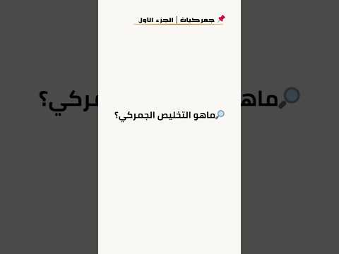 ما هو التخليص الجمركي سلسلة جمركيات مع زيدان والاغواني