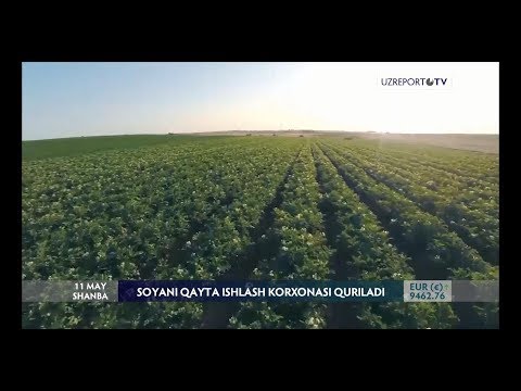 Video: Qayta Baholashni Qanday Tashkil Qilish Kerak