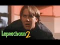 'A Proper Wedding Ring' Scene | Leprechaun 2