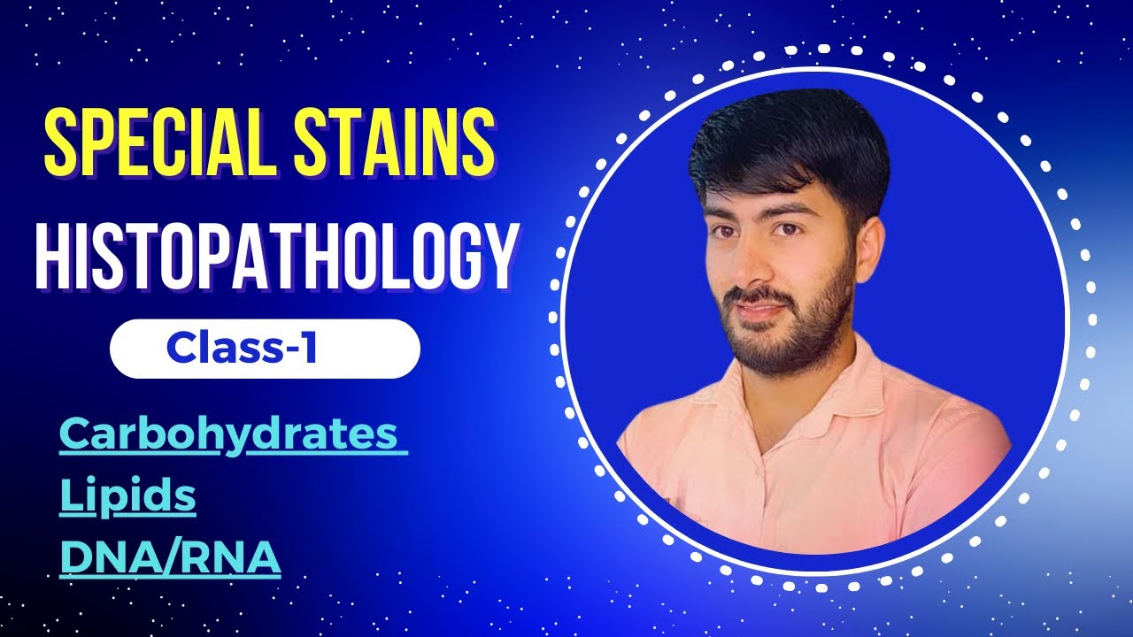 58. All Special stains in Histopathology  