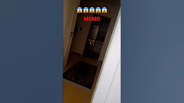 MOMO FIND YOU 