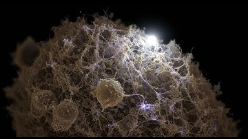 The Edge of Reality: A Space Documentary 2025 – Beyond the Boundaries of Time and Space