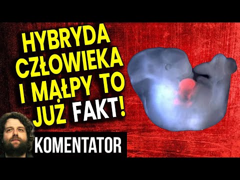 Hybryda Człowieka i Małpy to Już Fakt! - Analiza Komentator Hybrydyzacja Ludzkości Transhumanizm PL