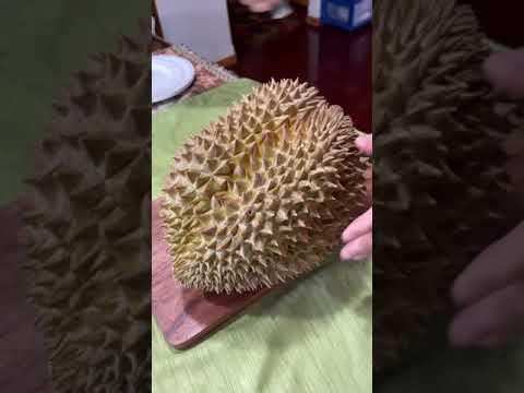 Vídeo: Durian és una fruita reial