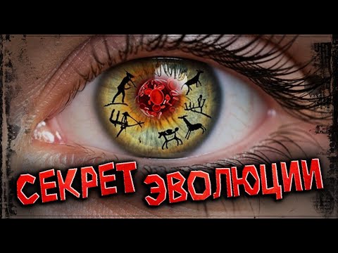 4 удивительных факта о первой группе крови!