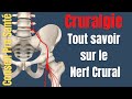 Qu'est ce que le nerf crural / fémoral ?