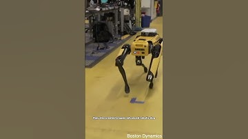 "Boston Dynamics Atlas and Spot: The Future of Robotics" #shorts